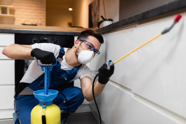 Best Flea Control Services  in Intercourse, PA