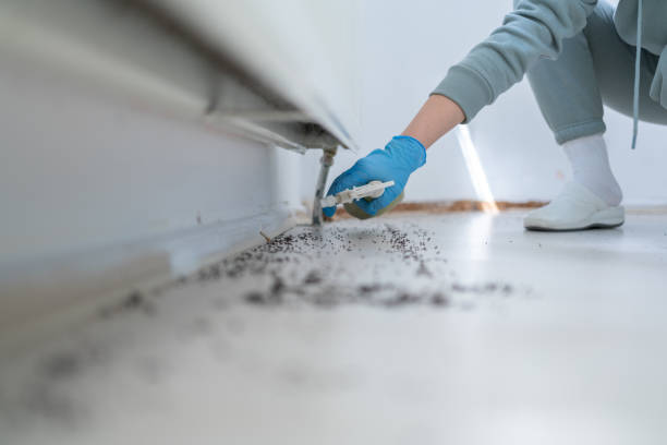 Wildlife Control Services in Intercourse, PA